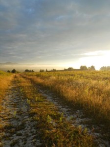 The fields of Northern Maine, looking toward Canada